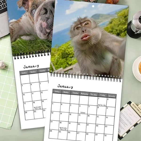 ⏰Limited Stock 49% OFF -📸 Ugly Animal Selfies™ 2027 Wall Calendar – 12 Months of Terrible Angles & Perfect Timing