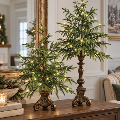 🎄Vintage Lighted Norfolk Pine Trees