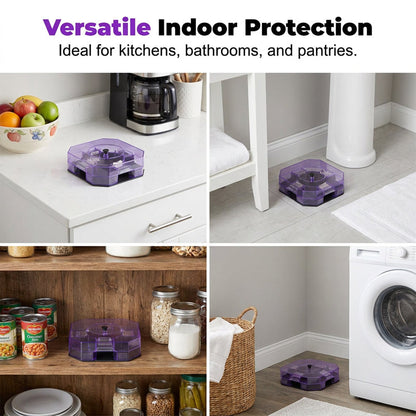 🔥Last Day 49% OFF🔥Reusable Effective Roach Trap