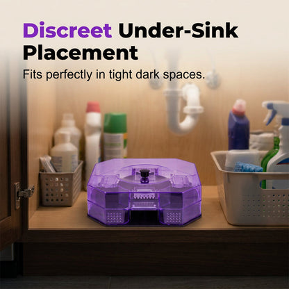 🔥Last Day 49% OFF🔥Reusable Effective Roach Trap